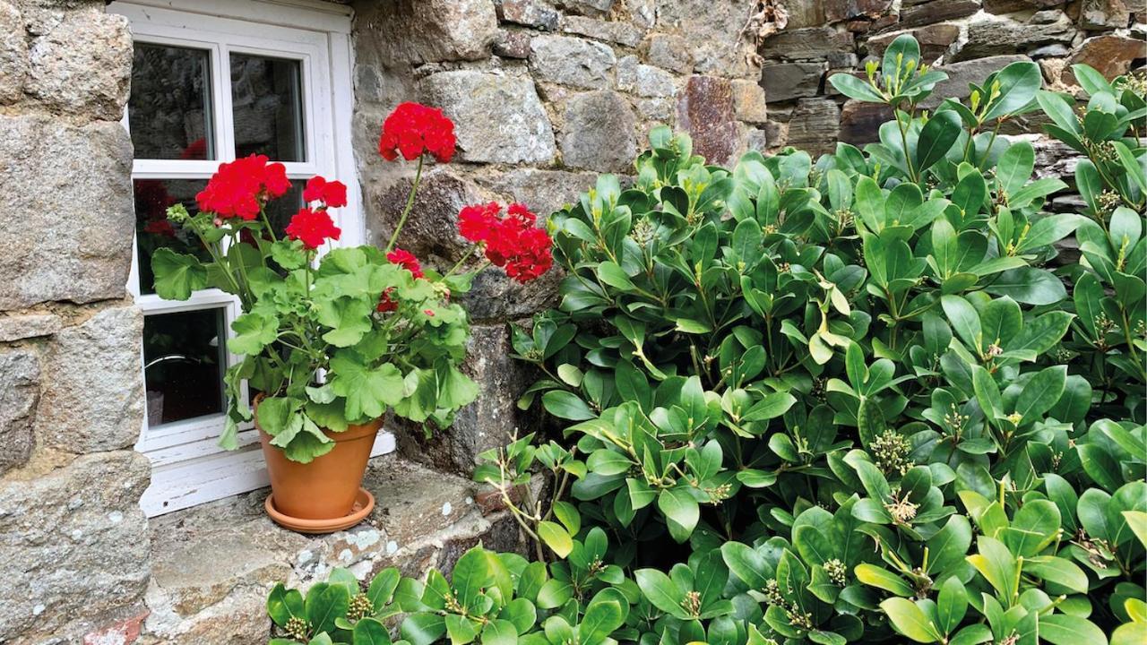 Manoir De La Begaudiere Mont-Dol Buitenkant foto