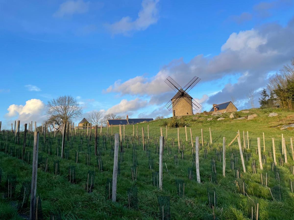 Manoir De La Begaudiere Mont-Dol Buitenkant foto